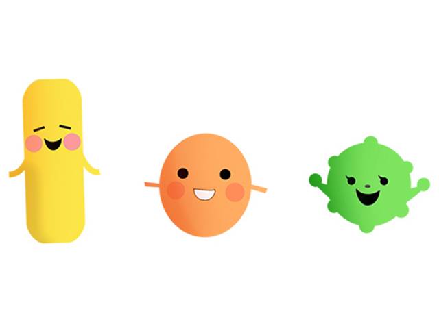 乳酸菌 成分情報 わかさの秘密