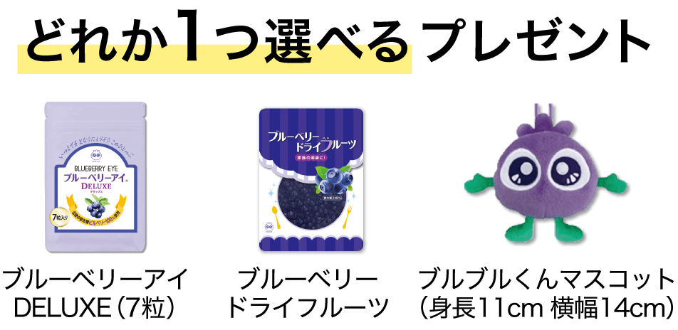 ブルーベリーアイDELUXE（7粒）、ブルーベリードライフルーツ、ブルブルくんマスコットどれか1つ選べるプレゼント