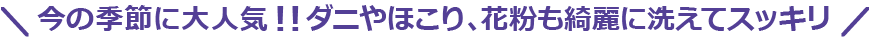 今の季節に大人気!!ダニやほこり、花粉も綺麗に洗えてスッキリ