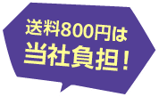 送料800円は当社負担!