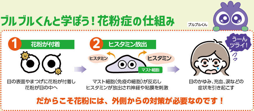 ブルブルくんと学ぼう！花粉症の仕組み