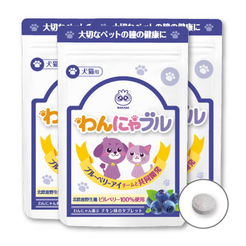 わかさ生活 - ねこちゃん　わかさ生活　ブルーベリーアイ　6袋 ねこちゃん様専用 わかさ生活 ブルーベリーアイ 6袋 （わん