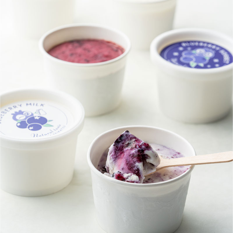 Blueberry&Milk アイスセット 1箱セット