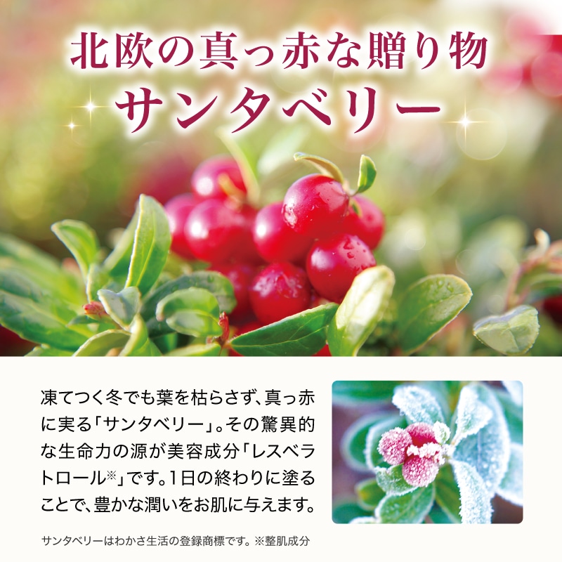 レスベラトロールリッチクリーム