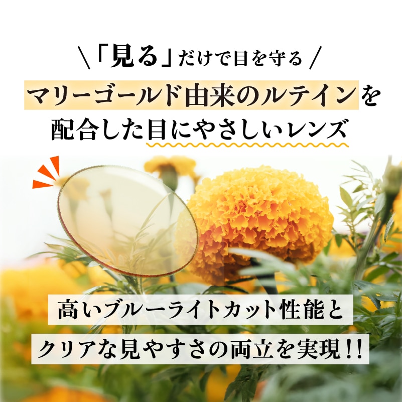 サンシャインメガネルテインプラス ブラウンデミ