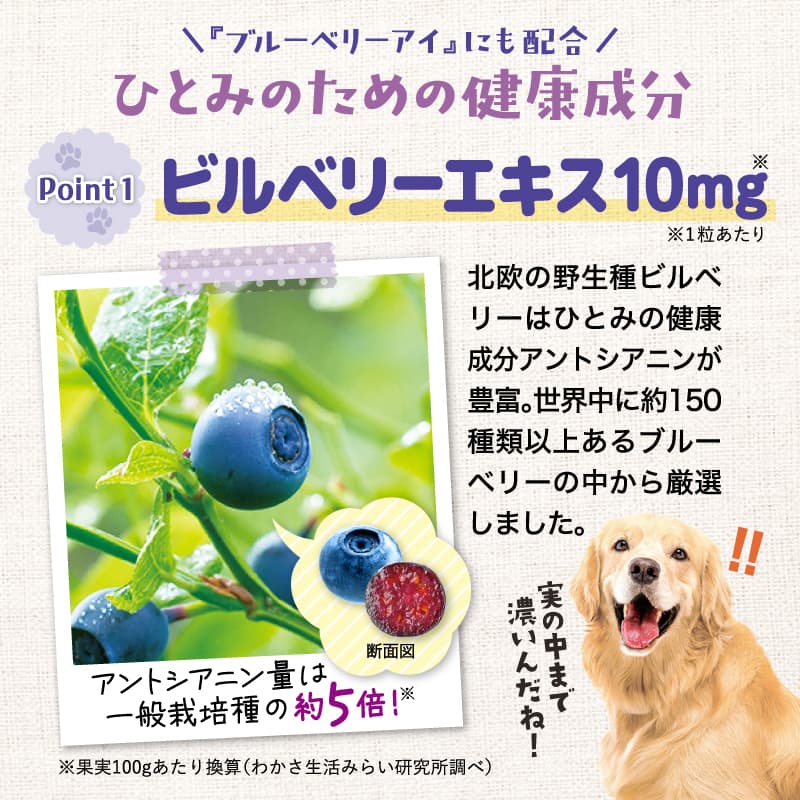 ブルーベリーアイ ワンワン 1袋