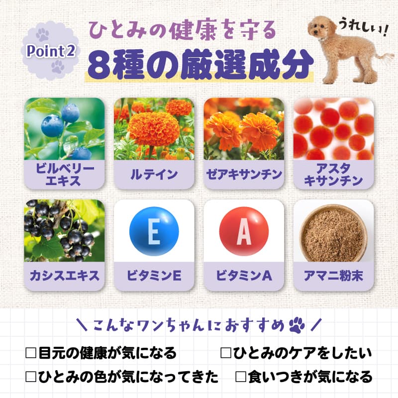 ブルーベリーアイ ワンワン 1袋