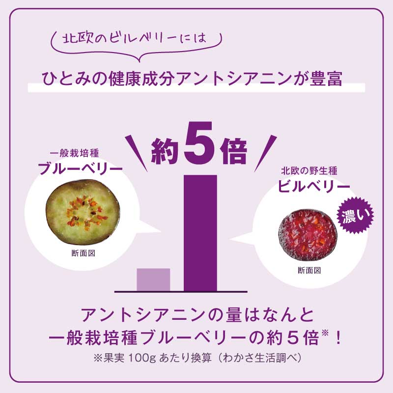 ブルーベリーはちみつ 1本