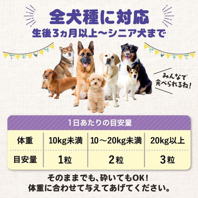 ブルーベリーアイ ワンワン 1袋