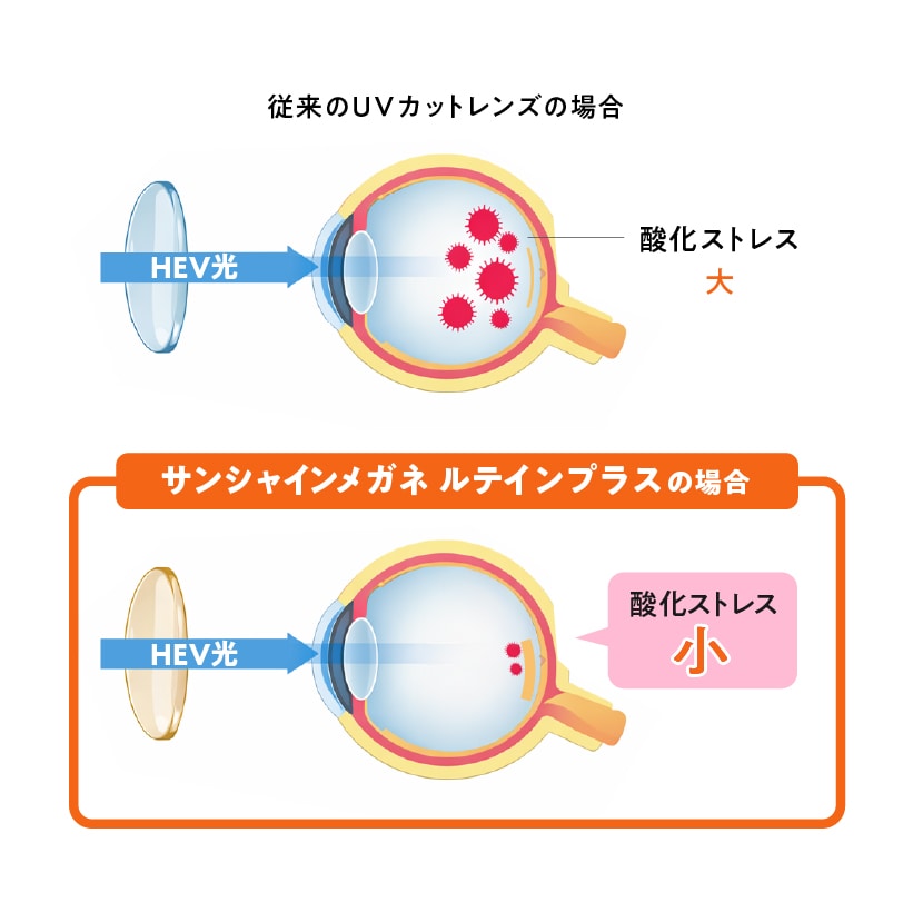 サンシャインメガネルテインプラスピンク ブラウンデミ