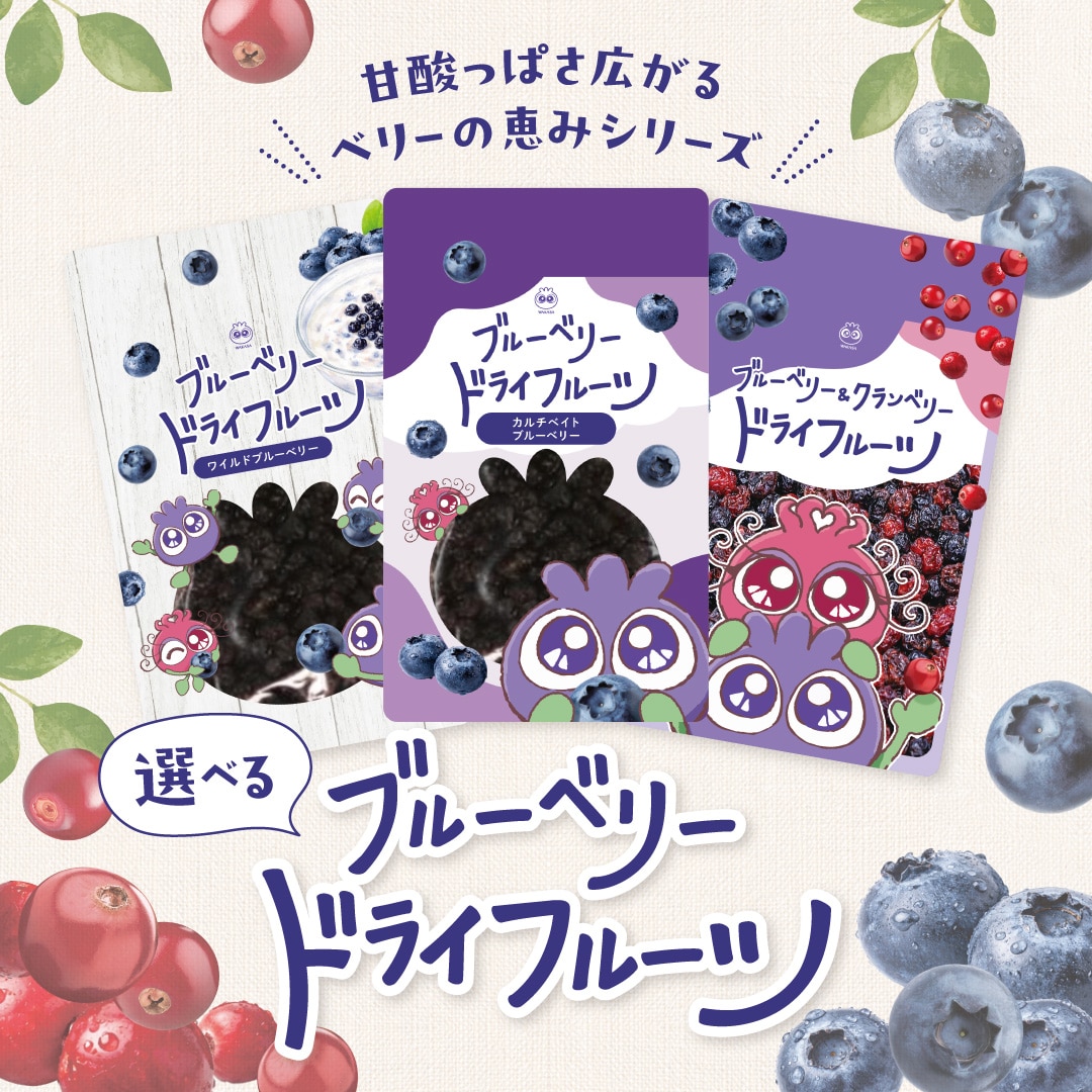 ブルーベリードライフルーツ(ワイルド) ブルーベリードライフルーツ(ワイルド) 1袋