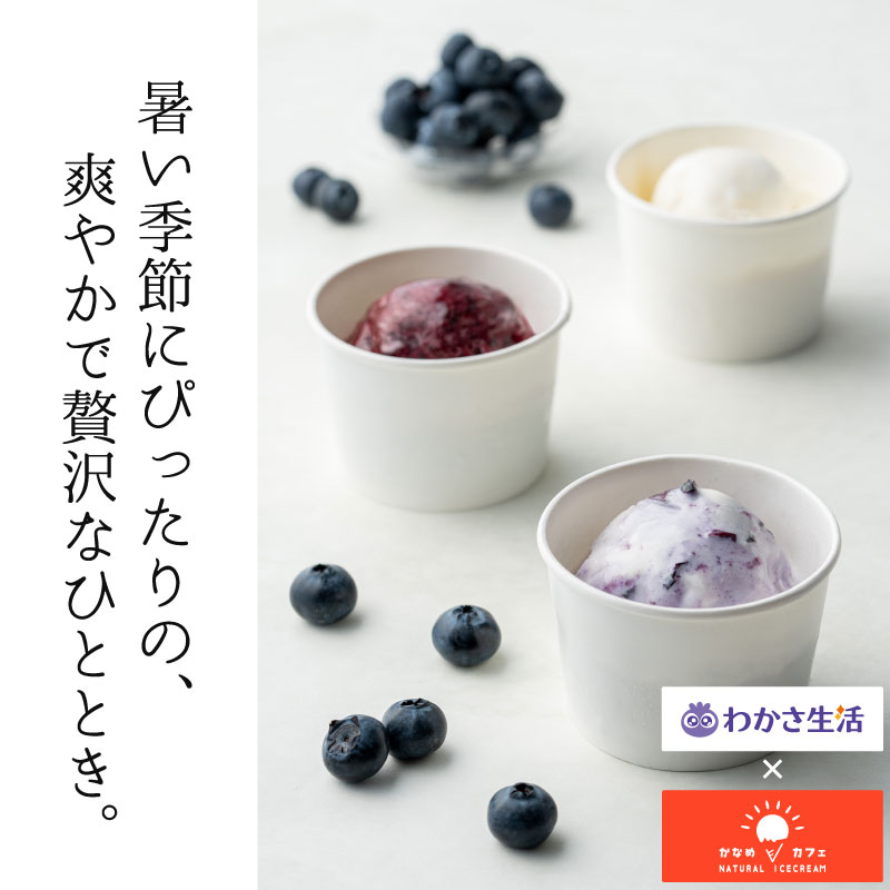 Blueberry&Milk アイスセット 1箱セット