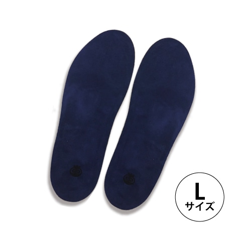 健康磁気インソール