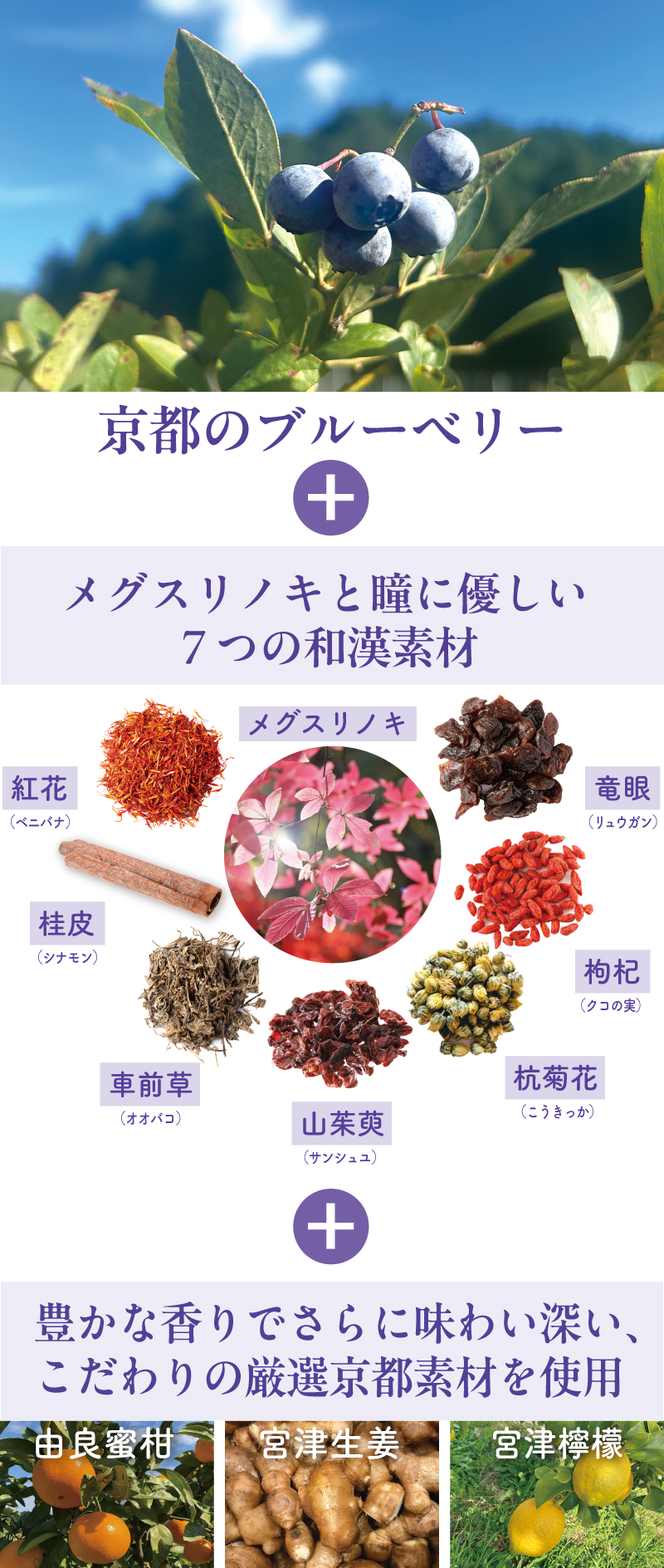 Berry&Berryドライジンの画像