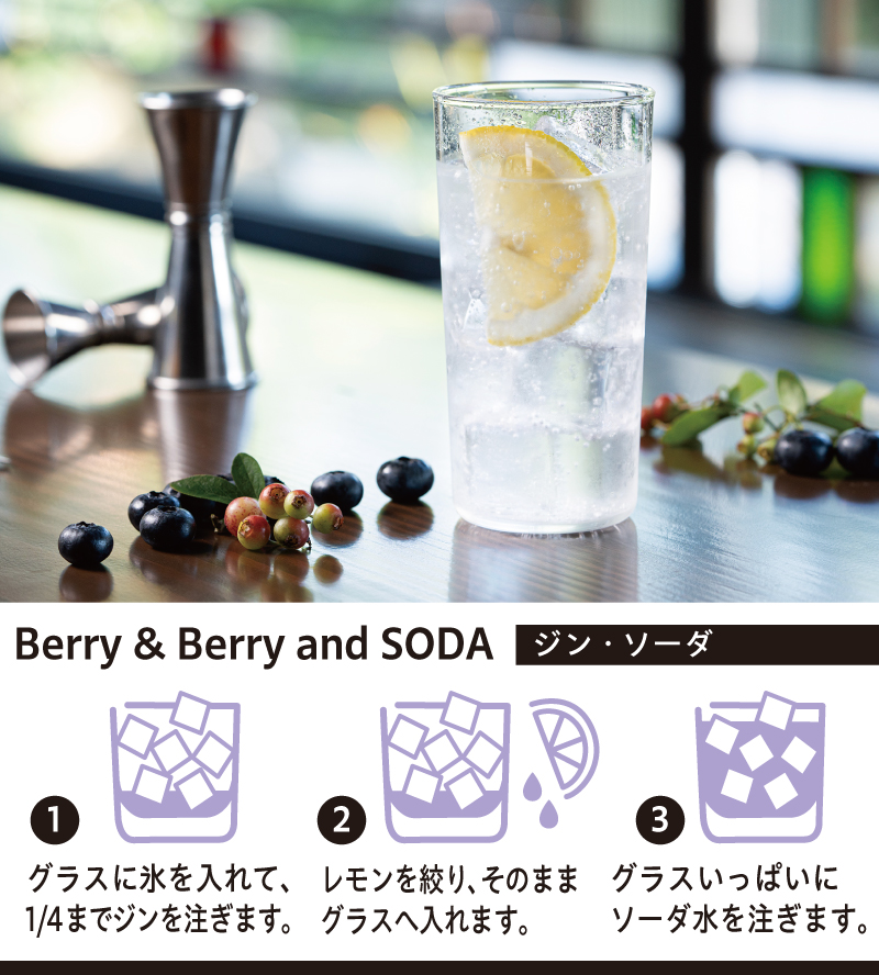 Berry&Berryドライジンの画像