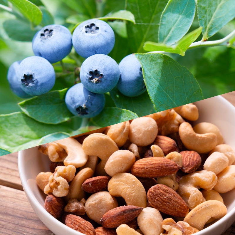 ブルーベリーでコーティングの画像