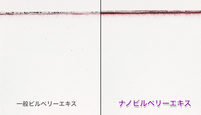 ビルベリーのナノ化。瞬時に水に溶ける