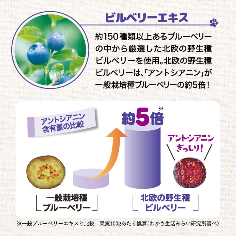 ビルベリーエキス