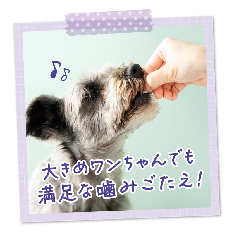 大きめわんちゃんでもまんぞくな噛みごたえ