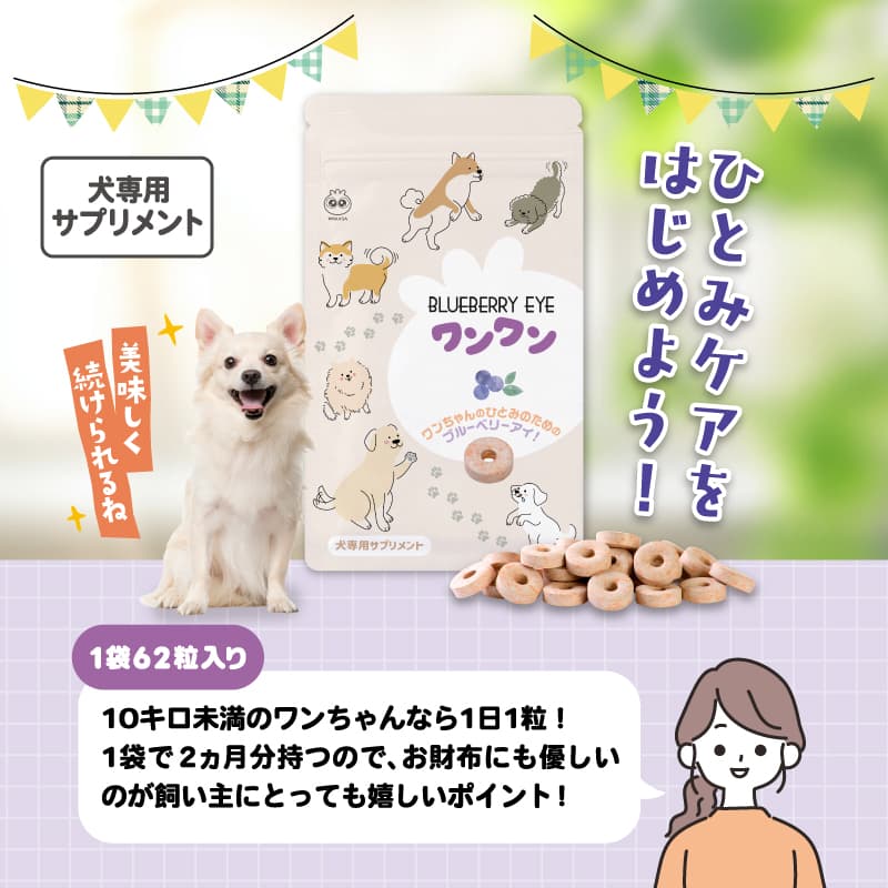 10キロ未満の小型わんちゃんなら2ヶ月分