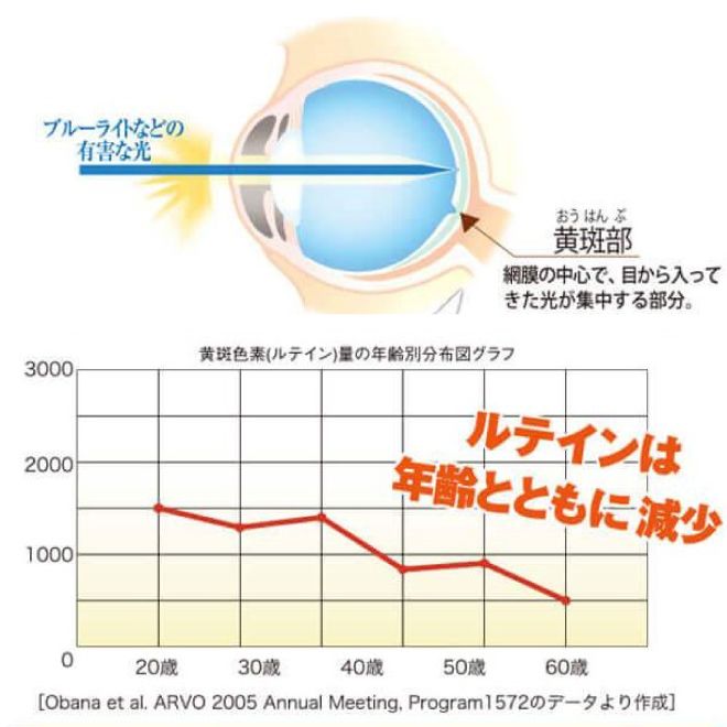 ルテインは年齢とともに減少