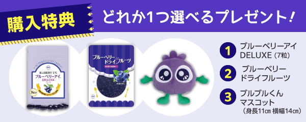 サンシャインメガネ購入特典選べるプレゼント