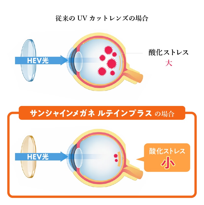 従来のUVカットレンズとサンシャインメガネルテインの違い