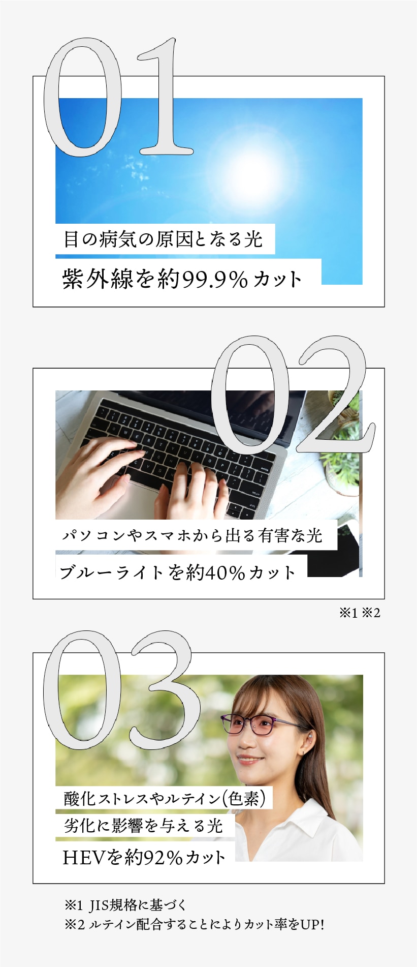 全体画像