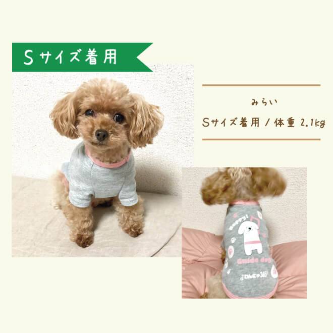 Sサイズ着用のイメージ写真