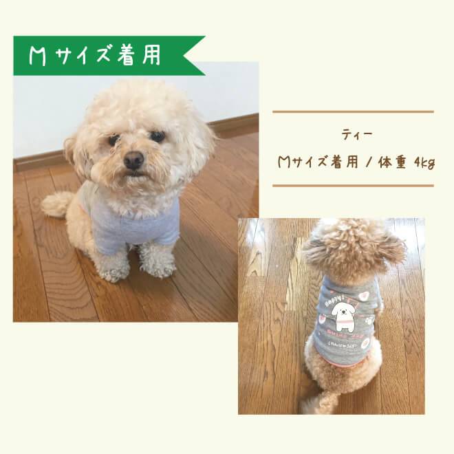 Mサイズ着用のイメージ写真