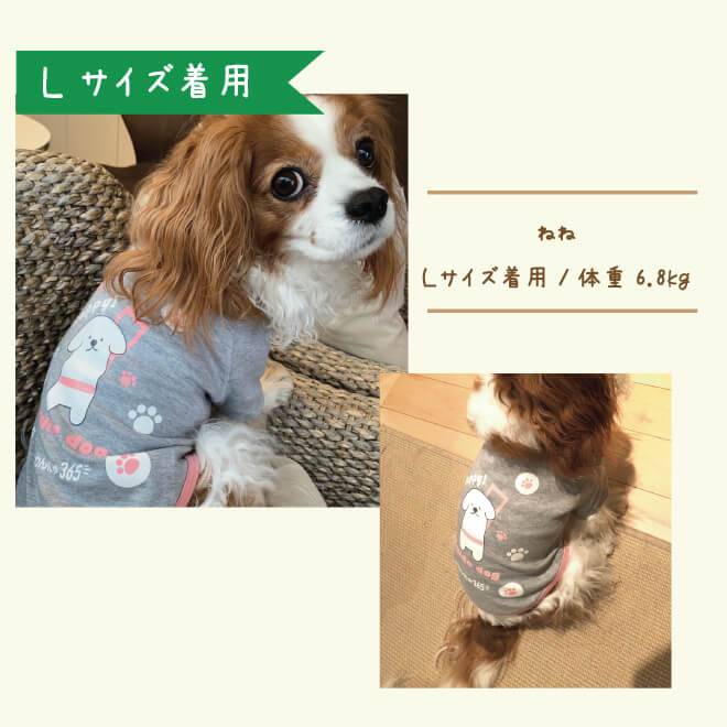 Lサイズ着用のイメージ写真