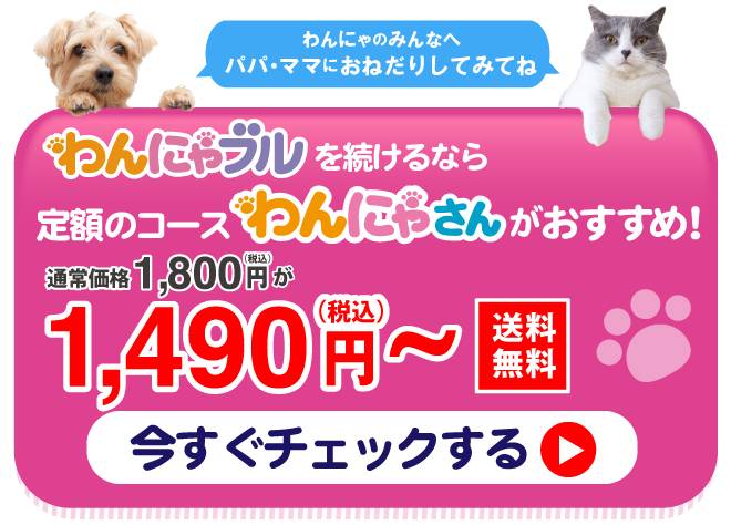 わんにゃブルを続けるなら定期コース「わんにゃさん」がおすすめ！
