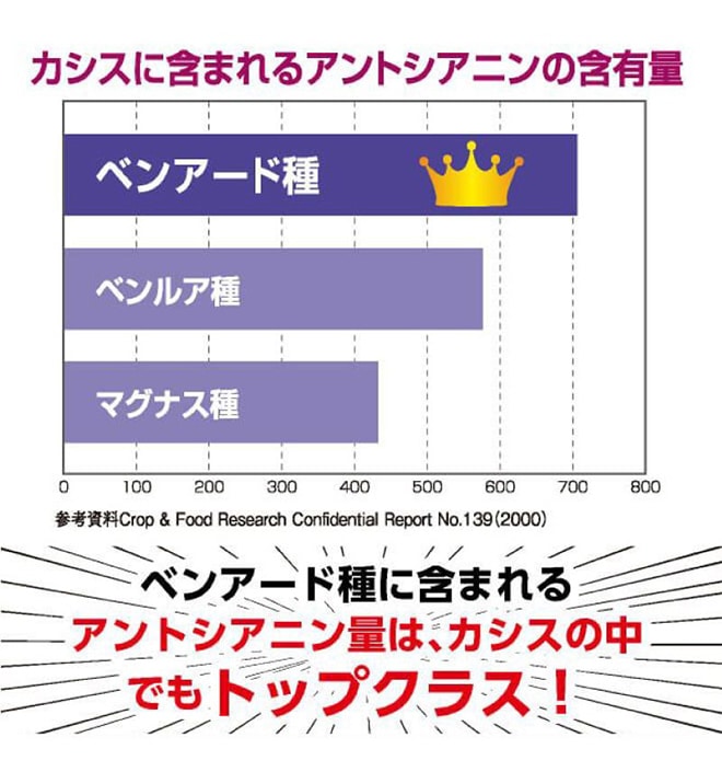ベンアード種に含まれるアントシアニン量は、カシスの中でもトップクラス！