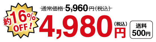 特別価格4,980円