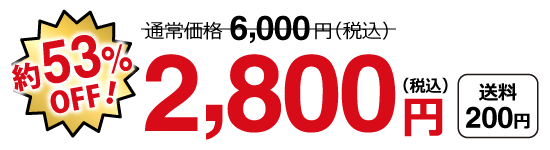 特別価格2,800円