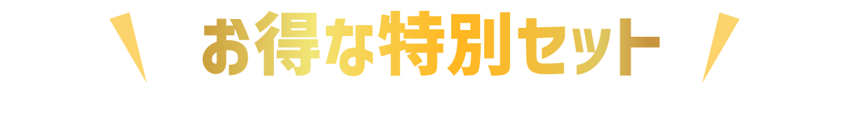 お得な特別セット