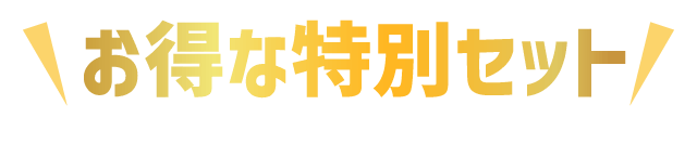 お得な特別セット