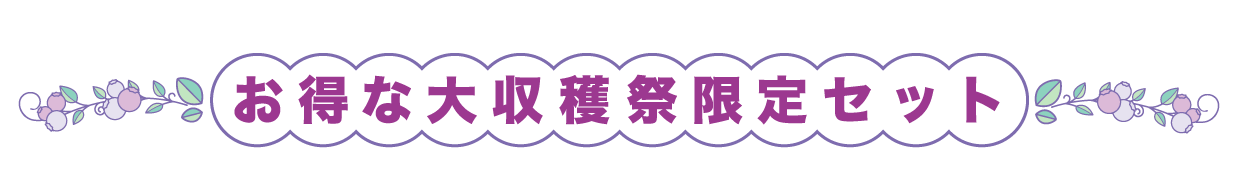 お得な大収穫祭限定セット