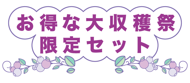 お得な大収穫祭限定セット