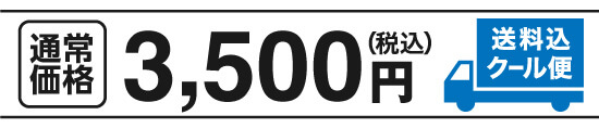 通常価格3,500円（税込）