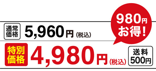 特別価格4,980円（税込）