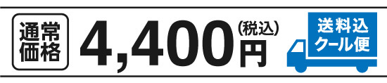 通常価格4,400円（税込）