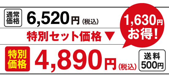 特別価格4,890円（税込）