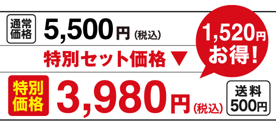 特別価格3,980円（税込）