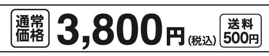 通常価格3,800円（税込）