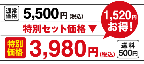 特別価格3,980円（税込）