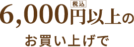 6,000円以上の