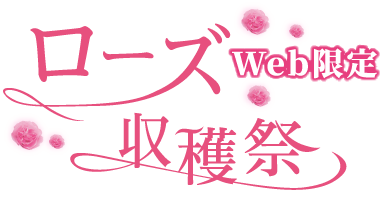 ローズ収穫祭