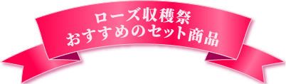 おすすめのセット商品