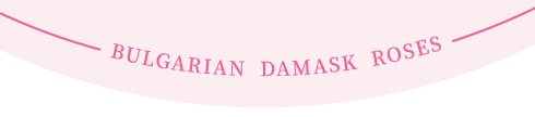 BULGARIAN DAMASK ROSES